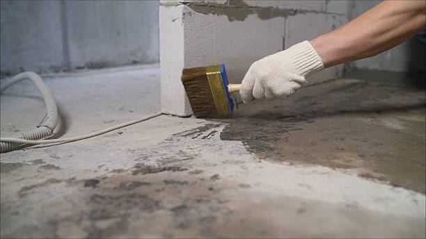 SJ Waterproofing Pros Waterproofing coverage map for Elmwood, IL and surrounding area